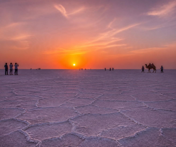 Rann Utsav Tour Package