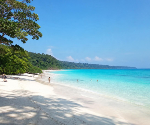 Andaman Tour Package