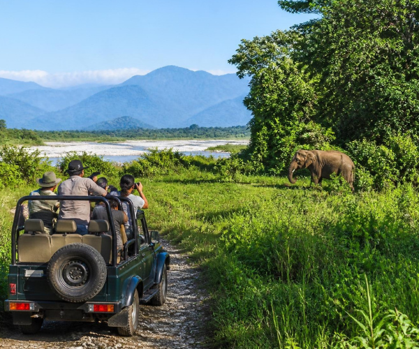 Assam Tour Package
